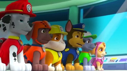 Paw Patrol - S 03 E 18 - Pups in a Jam - Pups Save a Windsurfing Pig