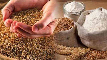 गेहूं-जौ में मौजूद Gluten से सेहत को खतरा, हो जाएं सावधान | Gluten Free Diet | Boldsky