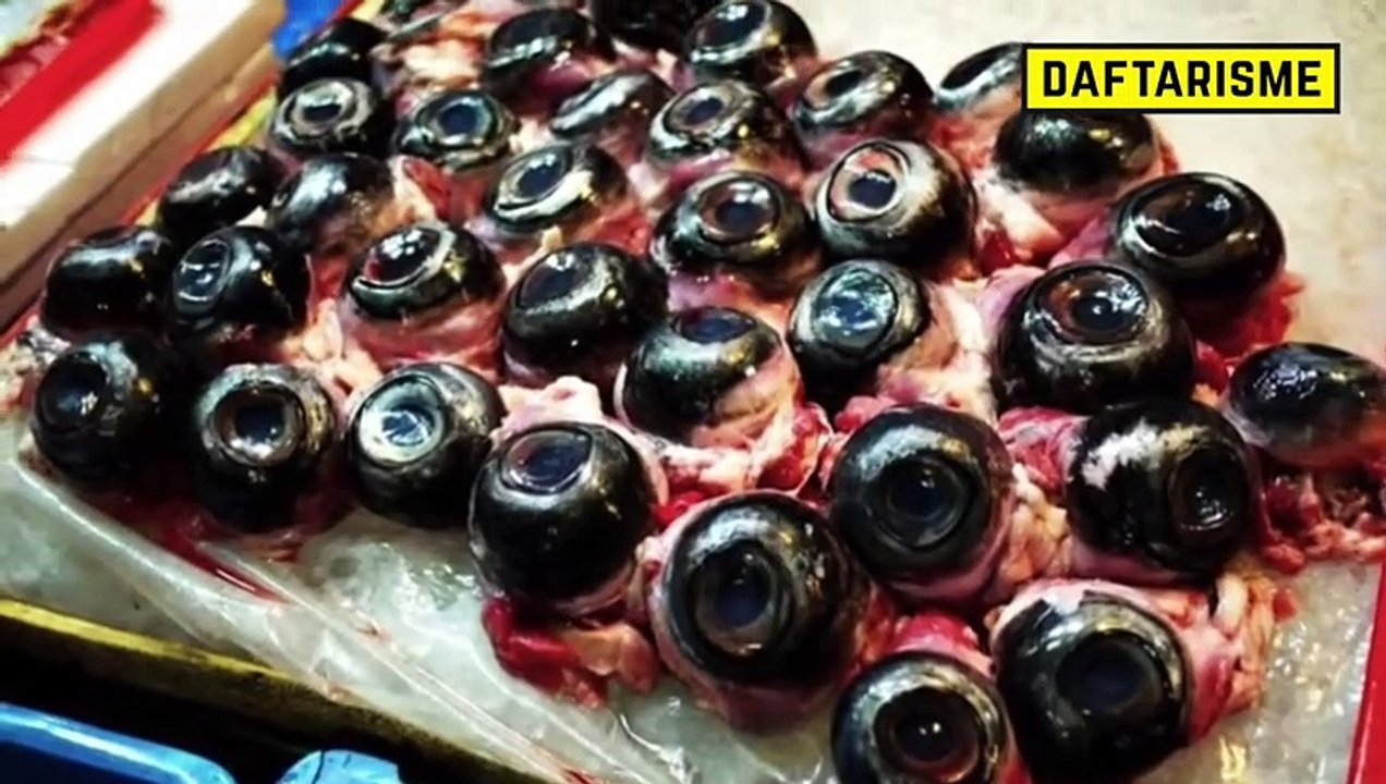 Menjijikan! Cacing Kayu Raksasa Menjijikan Ini Jadi Makanan Favorit Di Negara Ini, Berani Coba -- Dailymotion