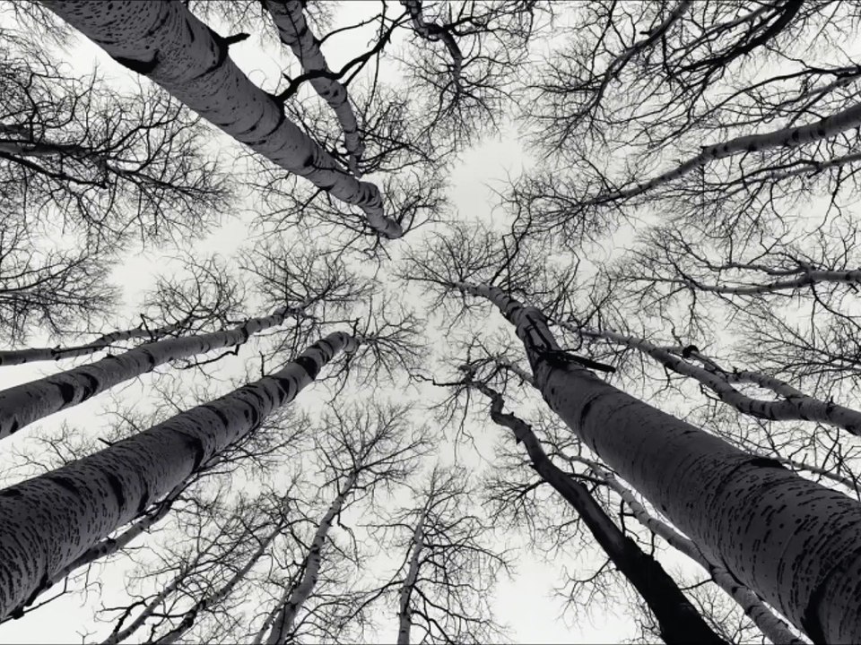 bir şey olsa  - Parksohbet.com