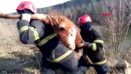 Günün en sıcak fotoğrafı Ordu'da çekildi