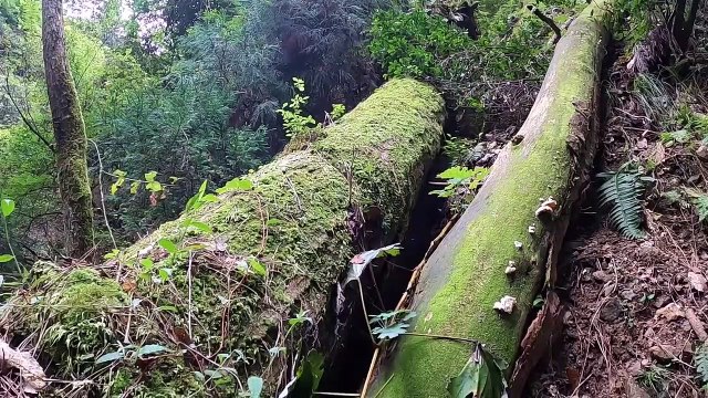 Mountain (Funayama) where traditional ceremonies of Japan (Kyoto) are held