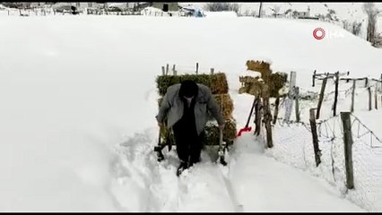 Karlıova'da besicilerin kış mücadelesi