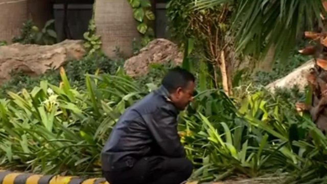 Delhi Blast: NSG reached blast site to examine scene