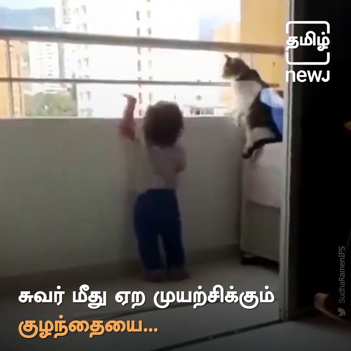 ‘Guardian angel’ Cat Stops Toddler From Grabbing Balcony Railing