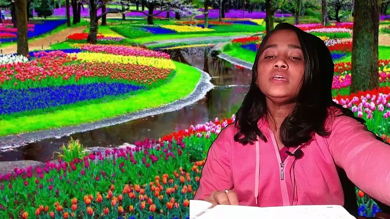 কোয়েল খাঁ