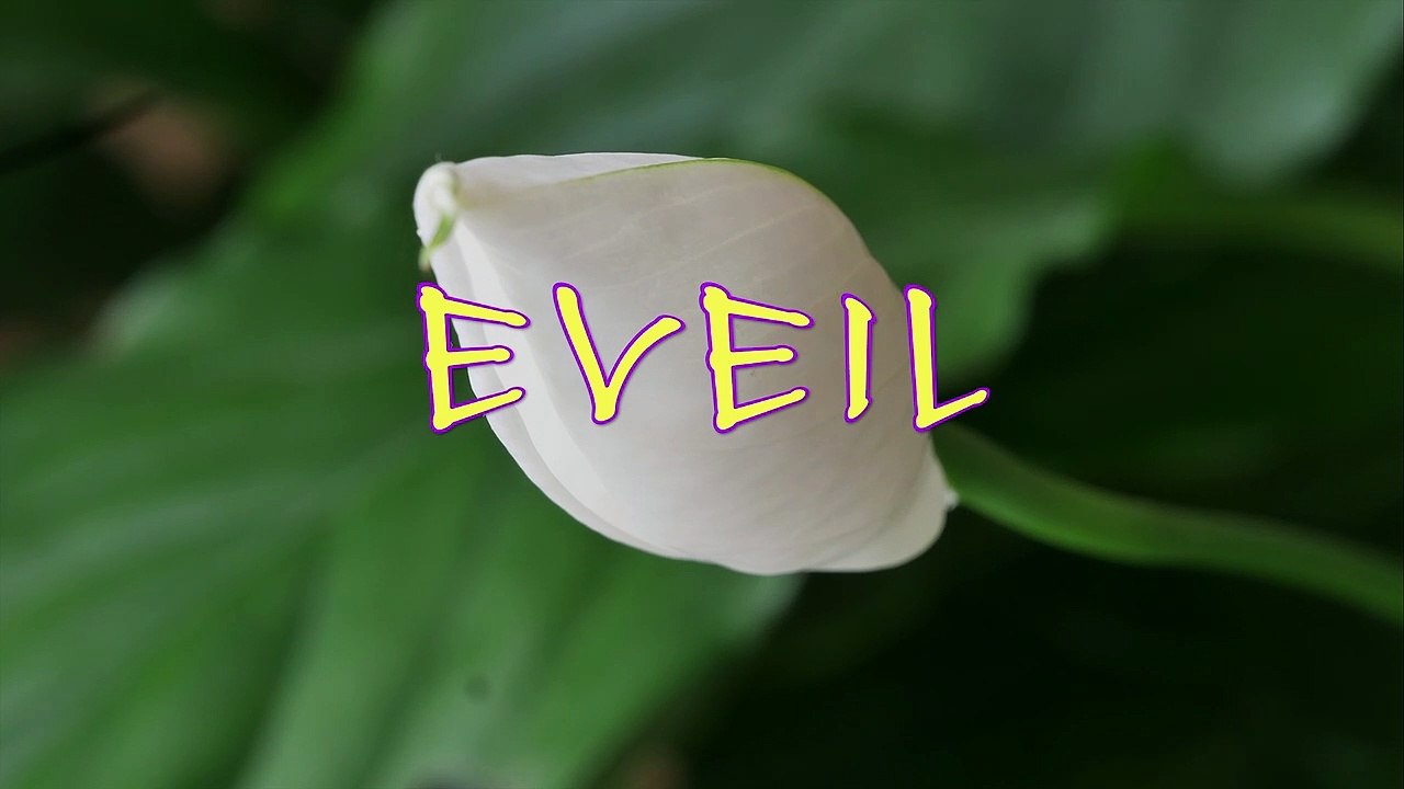 fleur1