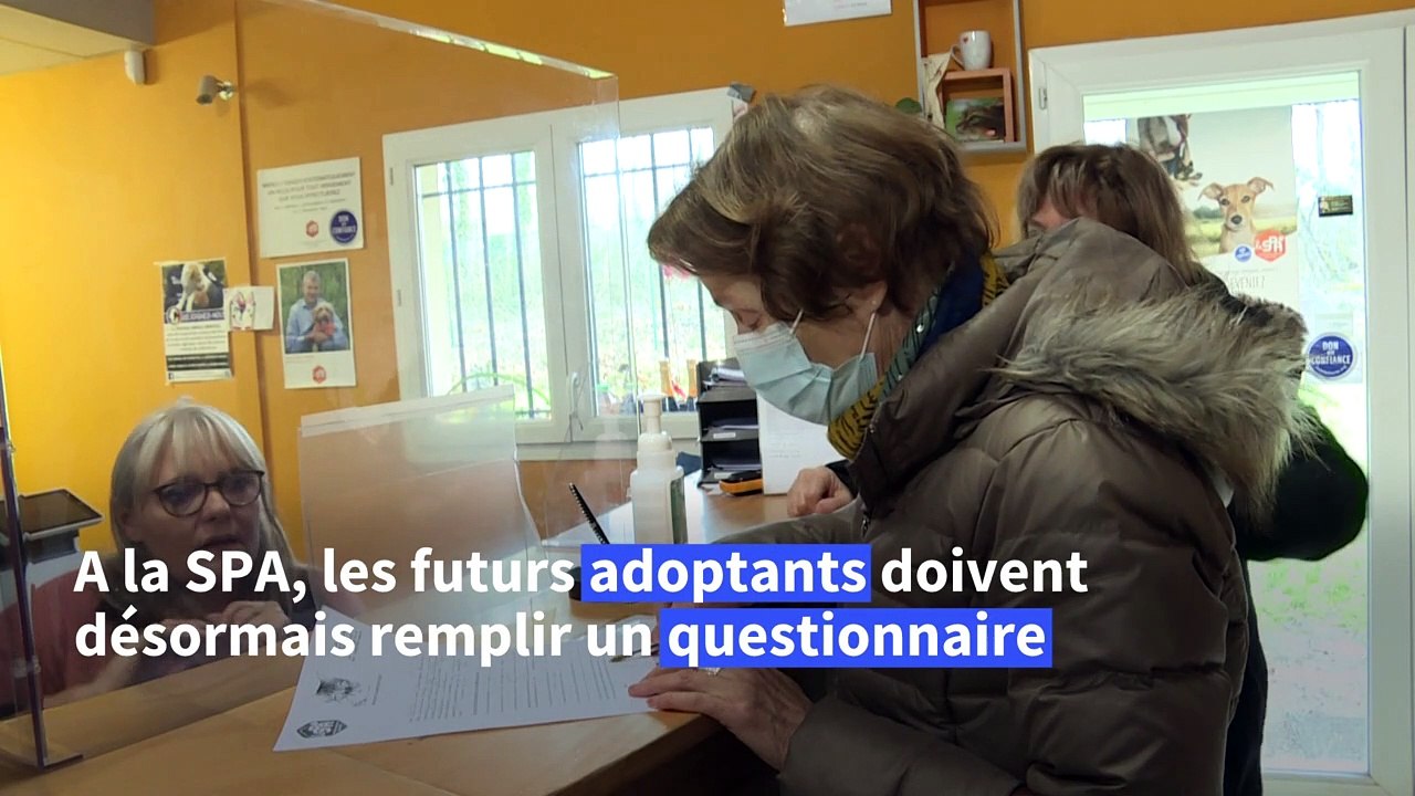 A la SPA, une "adoption responsable" pour éviter les abandons d'animaux