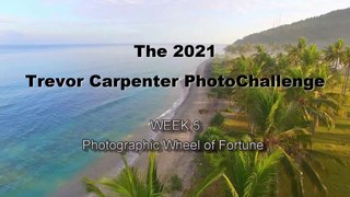 WEEK 5: The Photographic Wheel of Fortune