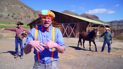 Un día en el Rancho para Niños | Blippi Español Video para Infantiles