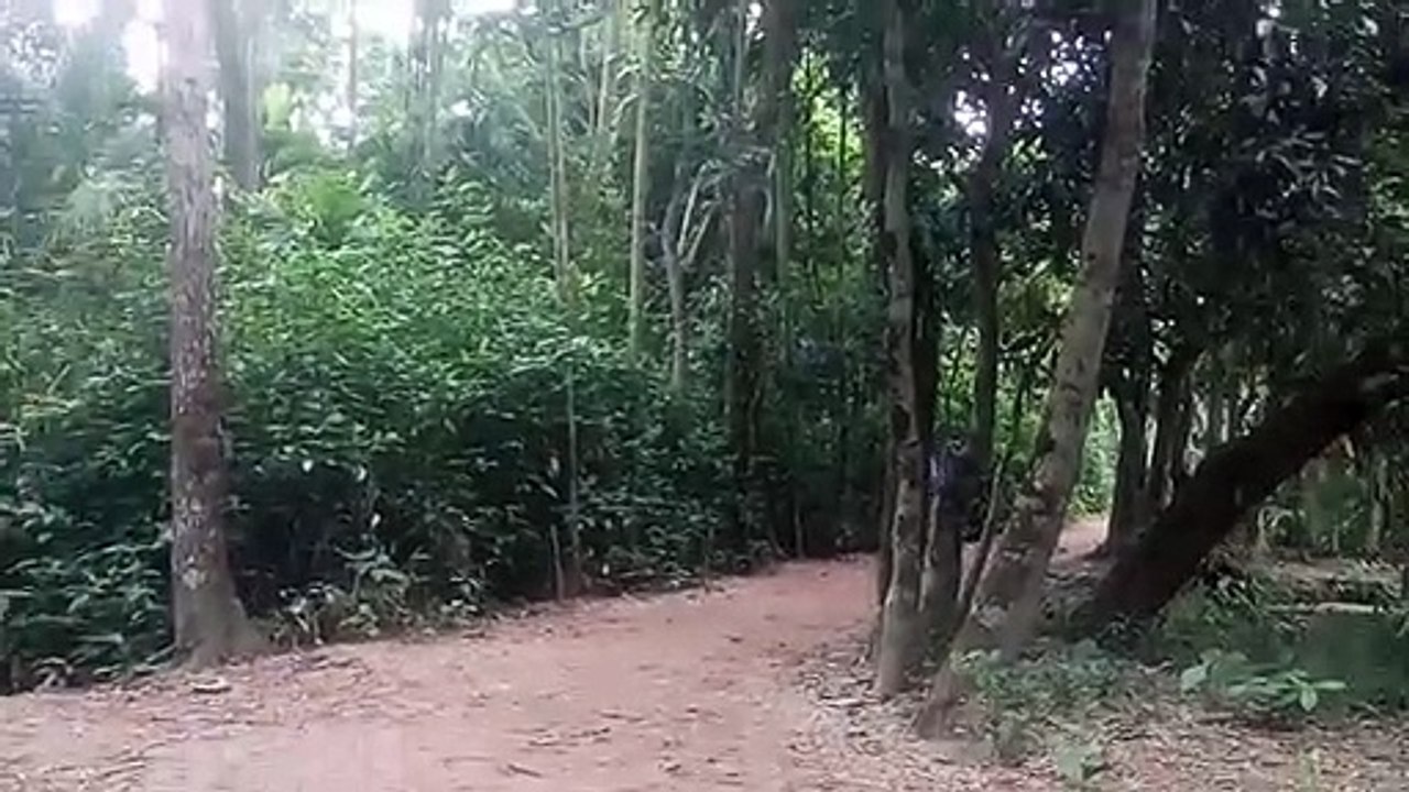 fanny video _122029