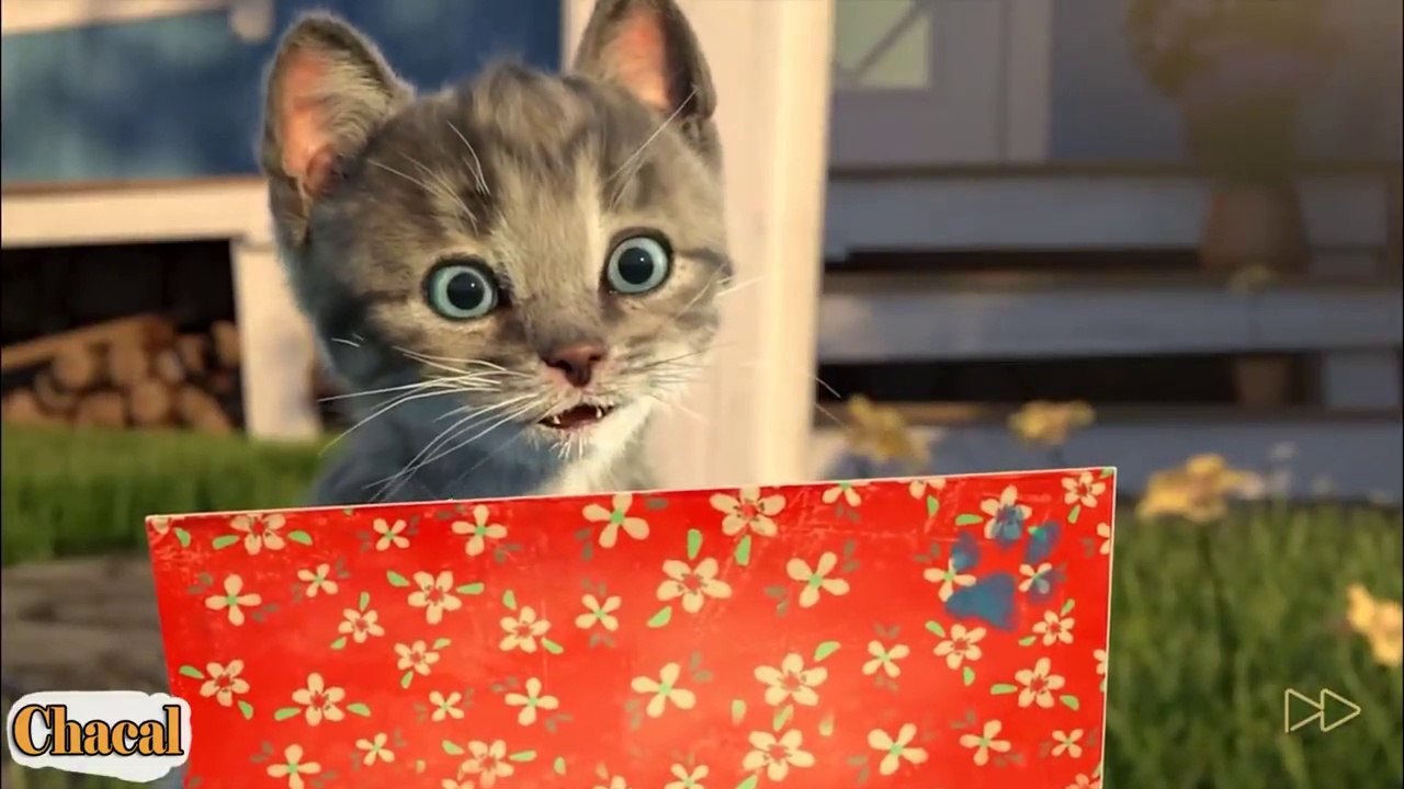 Gatinho Fofo Aventuras - Desenhos Animados Divertidos - Episódio 4