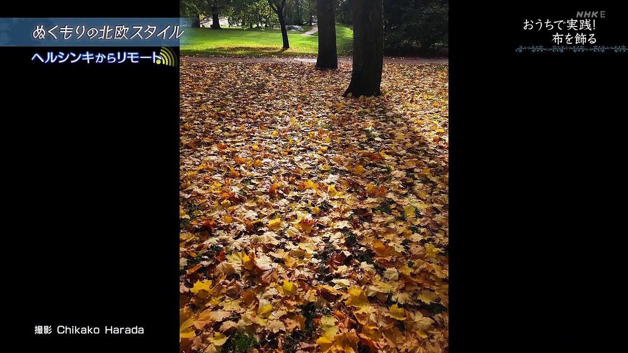 北欧スタイル（8）「おうちで実践！部屋を飾る」