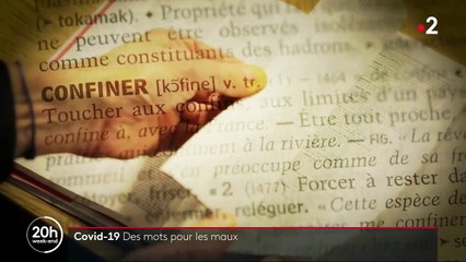 Covid-19 : vaccinodrome, déconfinement, cluster... Ces nouveaux mots qui sont entrés dans notre vocabulaire