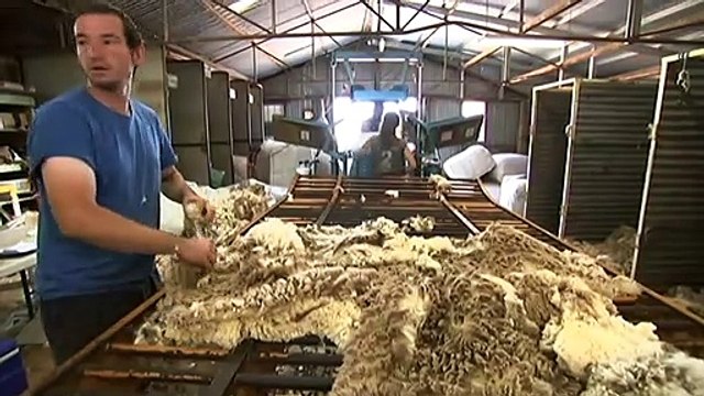 Bidding war between farmers and contractors over workers