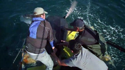 Atlantic - The Wildest Ocean on Earth E01