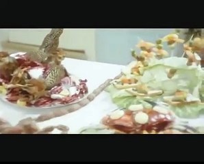 Plattfuss in Afrika - Bud Spencer part 1/2