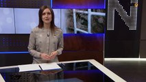 Levende mammut til Zoo | Aalborg | 01-04-2016 | TV2 NORD @ TV2 Danmark