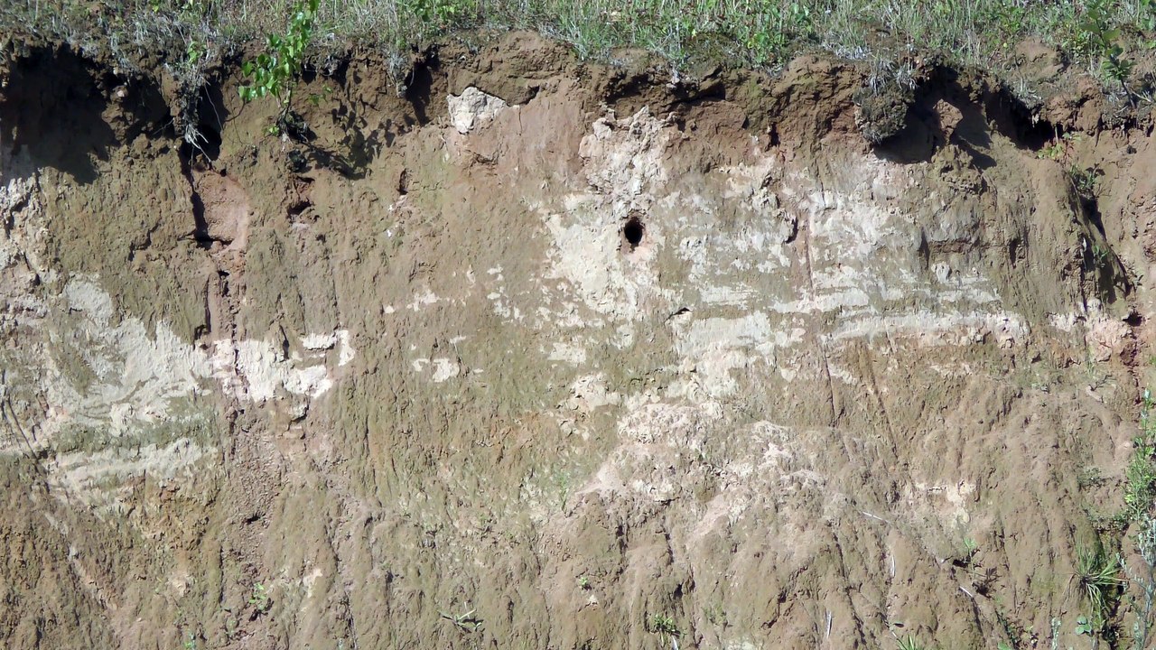 Bienenfresser Teil 4