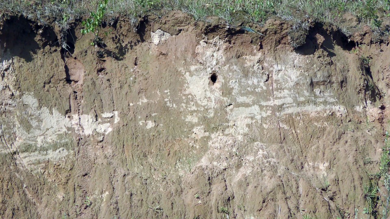 Bienenfresser Teil 3