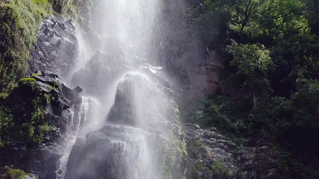 mixkit-waterfall-in-forest-2213