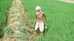 Union Budget 2021: How will farmers income will get double?