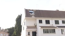 Una palmera derribada por el viento en Málaga cae sobre el tejado de una vivienda