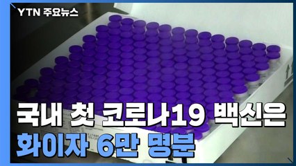 "첫 백신은 화이자 6만 명분"...접종 일정 구체화 / YTN