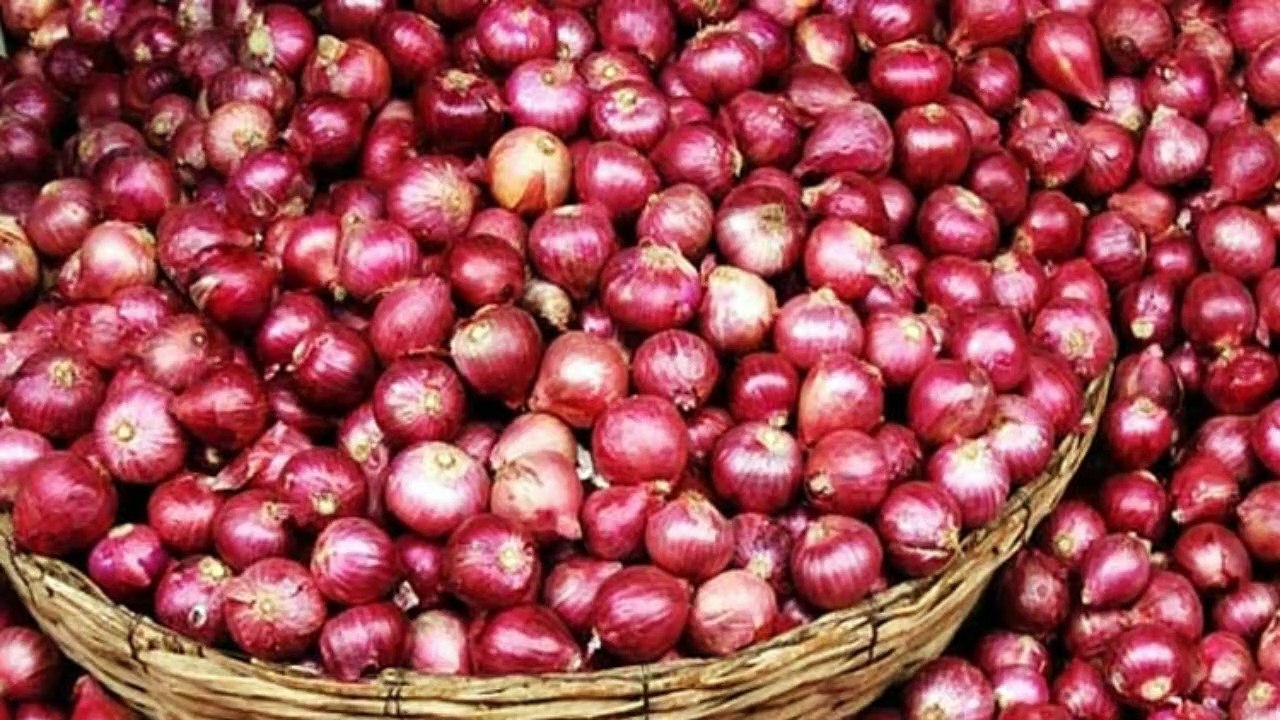 পেঁয়াজ