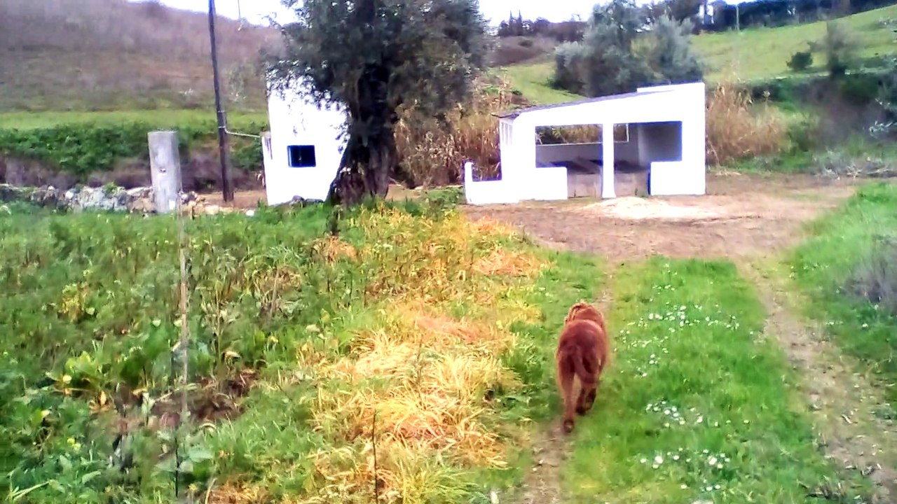 Água