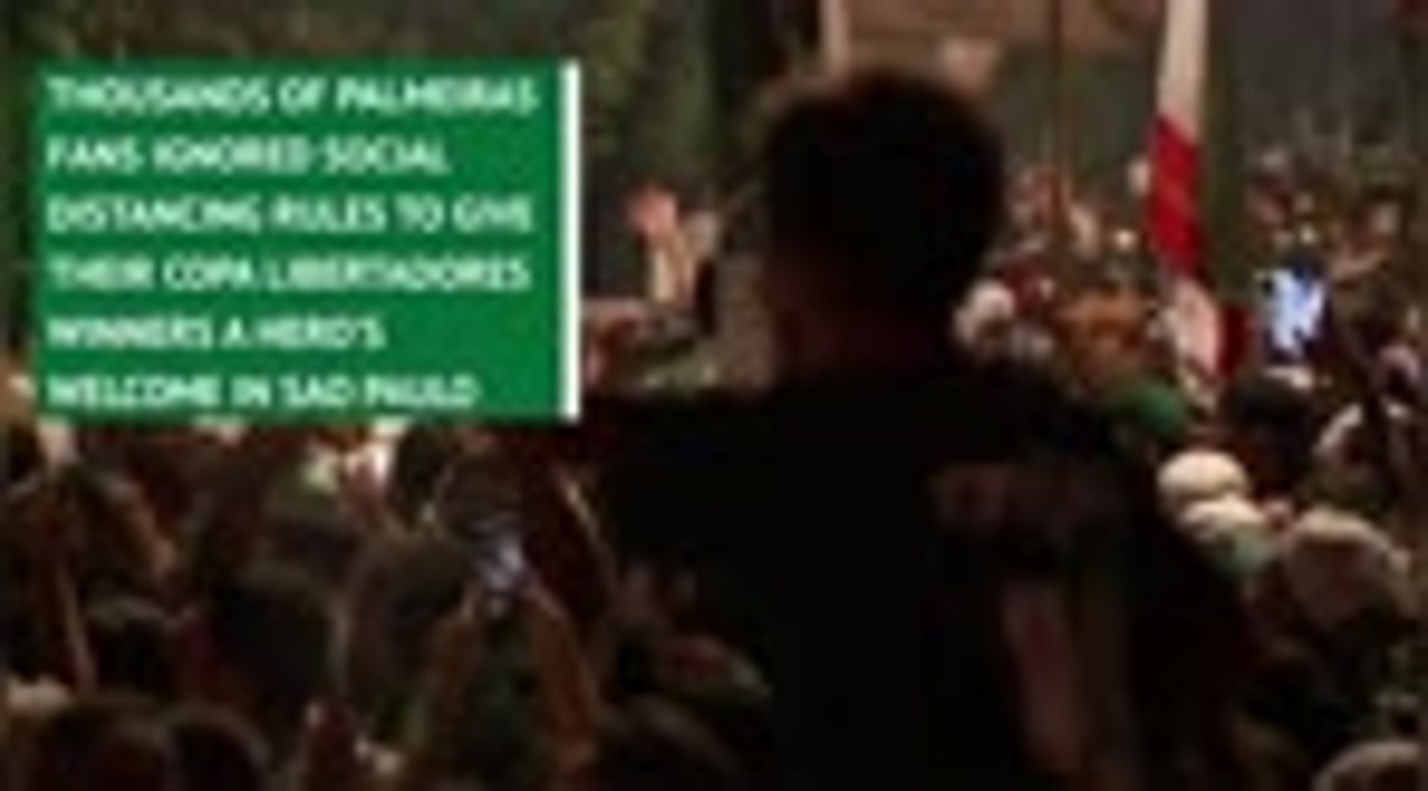 Palmeiras return home to hero's welcome