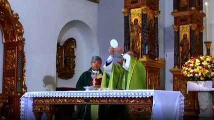 Misa dominical / enero 31 de 2021