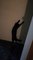 Cat Jumps And Plays With Shadow Puppet On Wall
