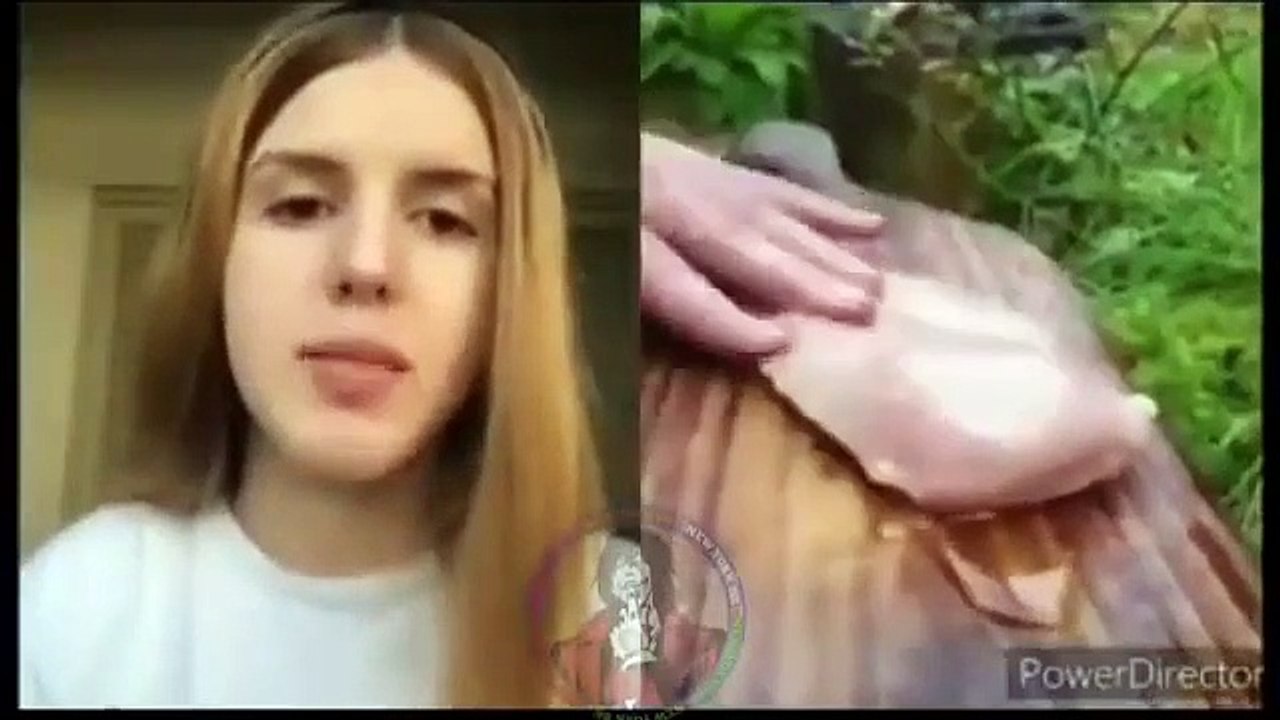 VÍDEOS VIRALES Abriendo pechuga reacción de mujeres VÍDEOS VIRALES