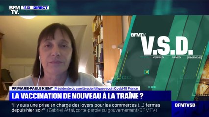Vaccination: "Il y a eu des effets secondaires mais ces campagnes se sont bien passées", selon la présidente du comité scientifique vaccin Covid-19 France