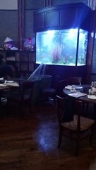 Un énorme aquarium explose en plein restaurant