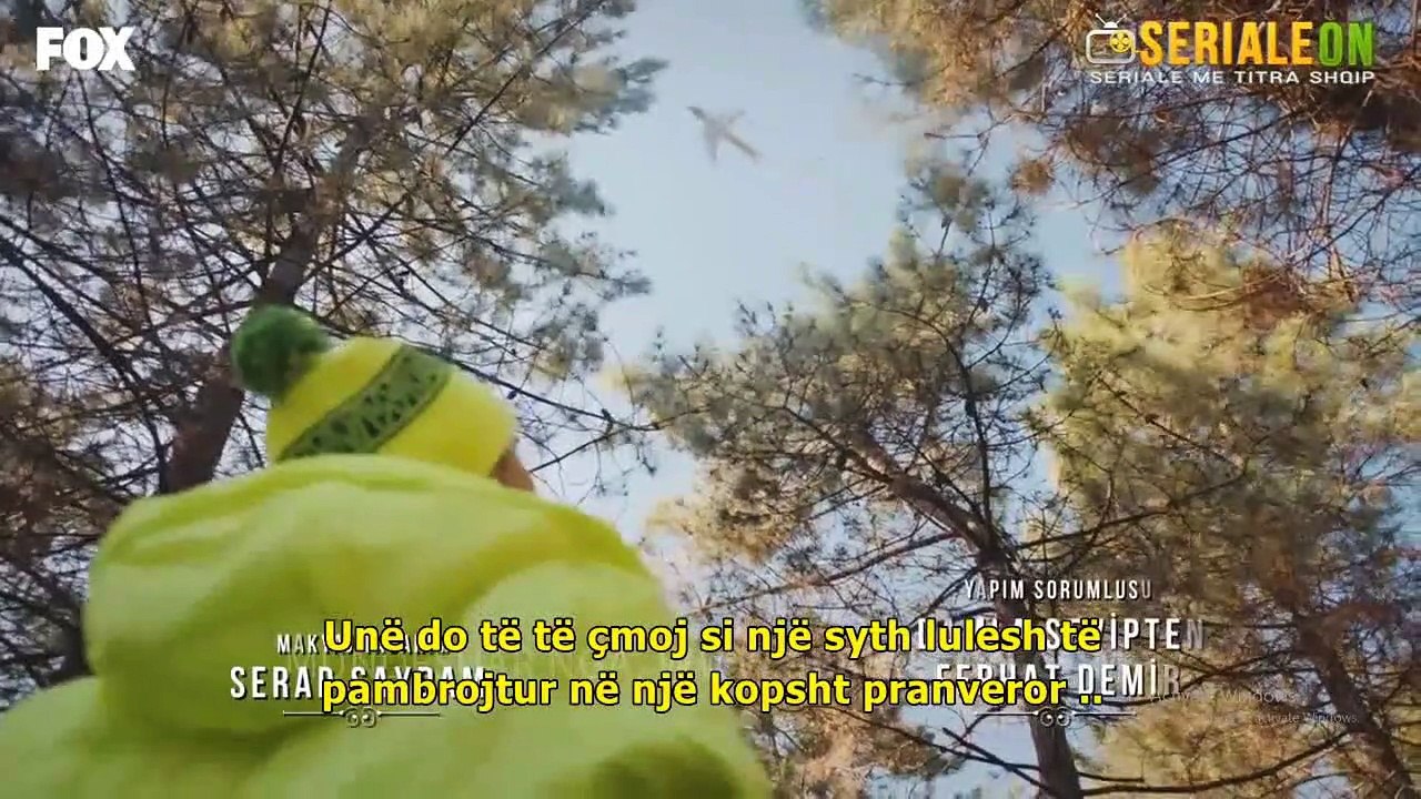 29.1