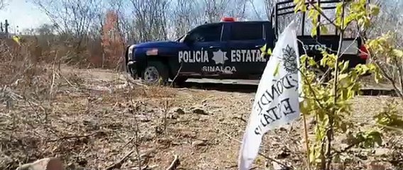 Localizan osamenta al norte de Culiacán