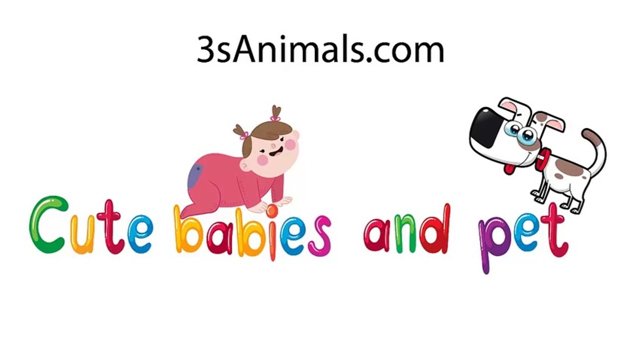 Baby  and Dog  are Best Friends Funny Fails Baby Video