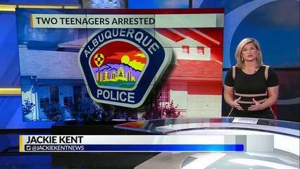 Two teens charged with series of burglaries across metro