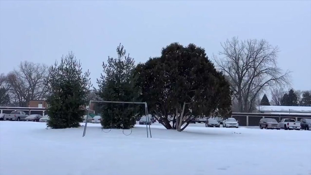 A nice snowy scene