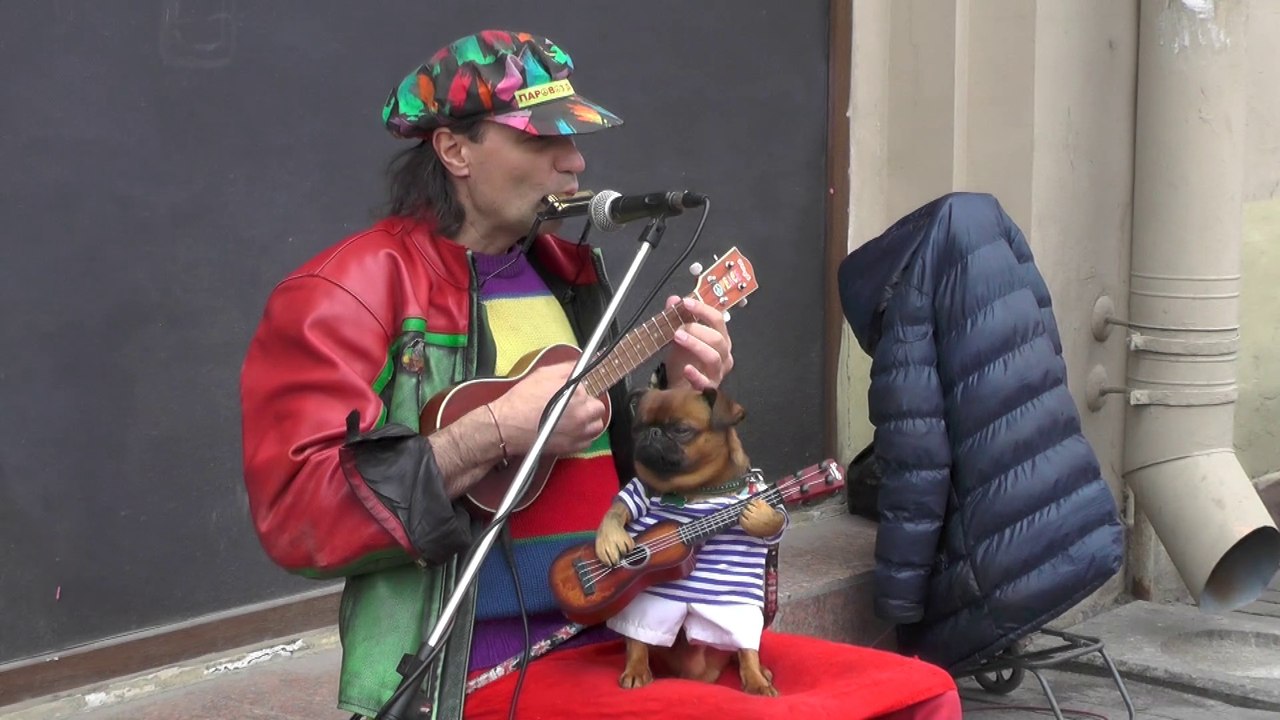 le chanteur et le petit  chien  .... Let It Be