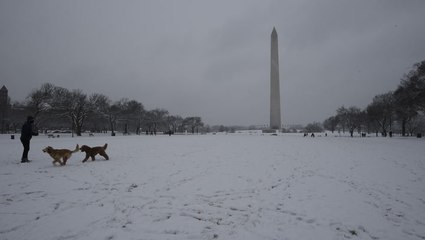 Taking a snow day in the nation's capital