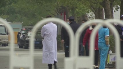 WHO 전문가팀 우한 화난 수산시장 조사...진인탄 병원 의료진도 면담 / YTN