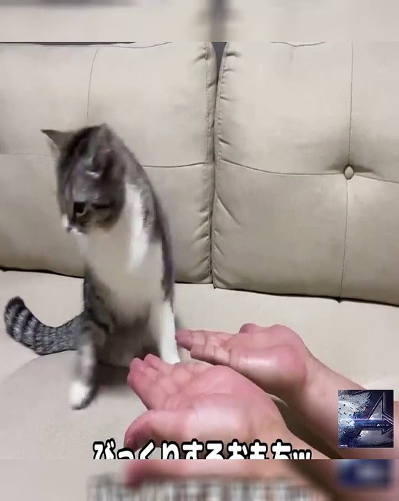 Couple Builds SHIPPING CONTAINER HOME With No Experience