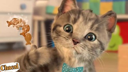 Lindo Gatito | Dibujos Animados Infantiles en Español - Videos para Niños y Bebés