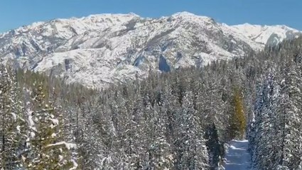 California’s massive sequoias covered with snow