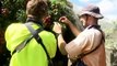 Labor shortages forcing Queensland farmers to attract local workers