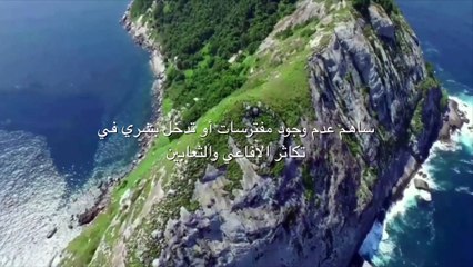 أخطر جزيرة في العالم،- جزيرة الثعابين