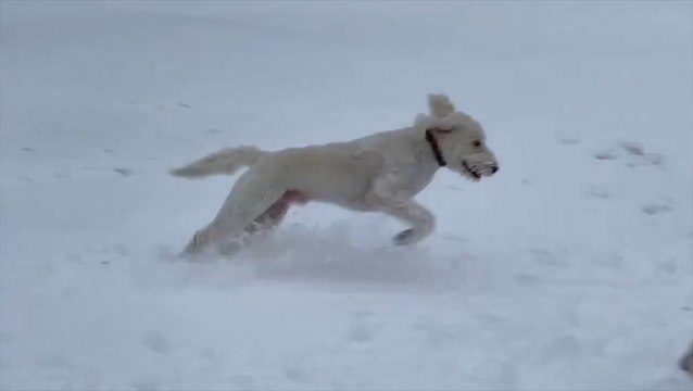 Heavy snow targets wide swaths of Illinois